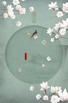 老中医私处养生spa